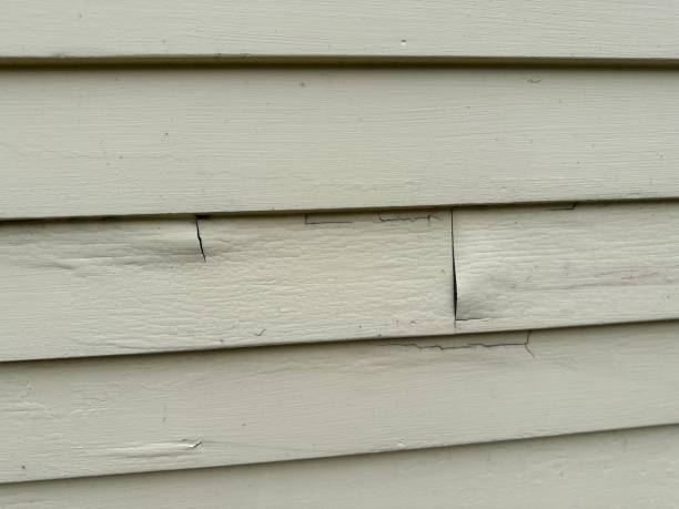 Best Siding Removal and Disposal  in Douglasville, GA